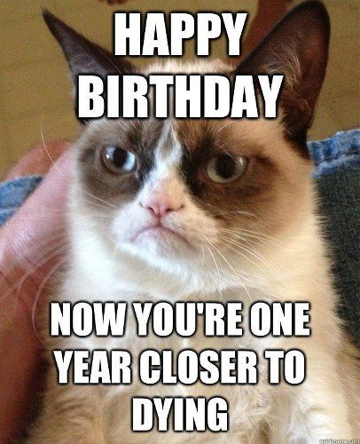 image top 30 funny animal memes and quotes cute pics jpg animal latest?cb=20160902192432 image top 30 funny animal memes and quotes cute pics jpg animal